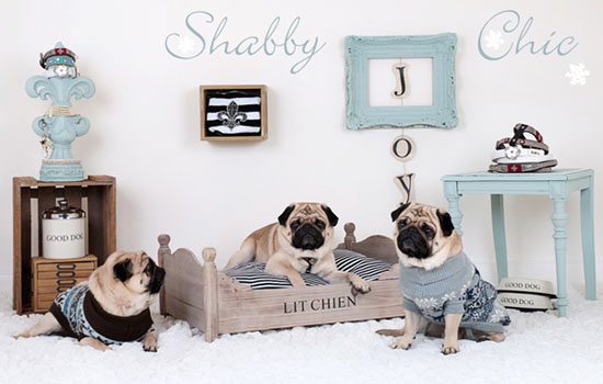 Shabby Chic