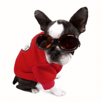Hundebrille Racing Flame
