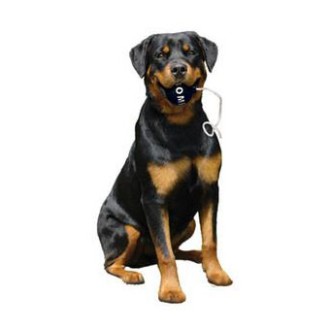 Hundespielzeug Bombe, 5 und 15 cm Gr�sse