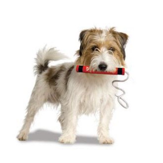Hundespielzeug Dynamit, L�nge 15 und 25 cm