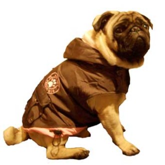 Hundejacke Lucky Paw schoko/rosa