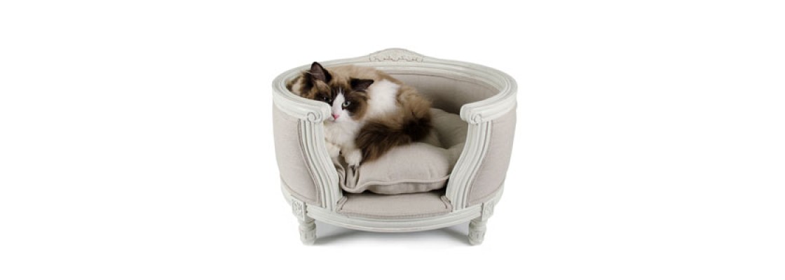 Katzen-Barock-Sofas