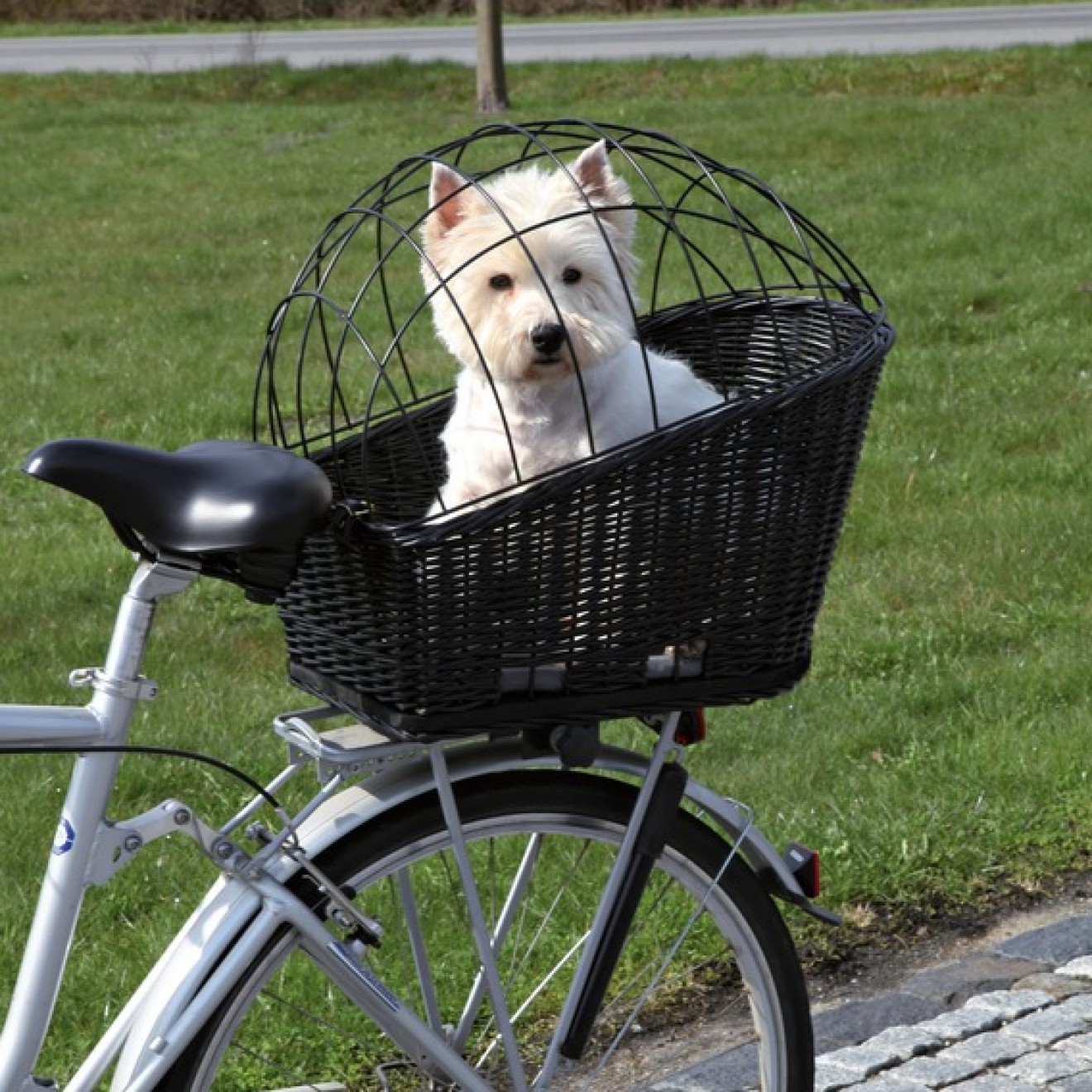 Schwarzer Hunde Fahrradkorb Aus Weide Hunde Fahrradkorbe