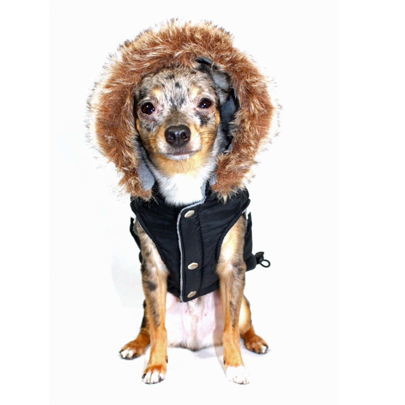 Hundeparka mit Fellkragen Alpine Black Gr. M Rücken 30 cm