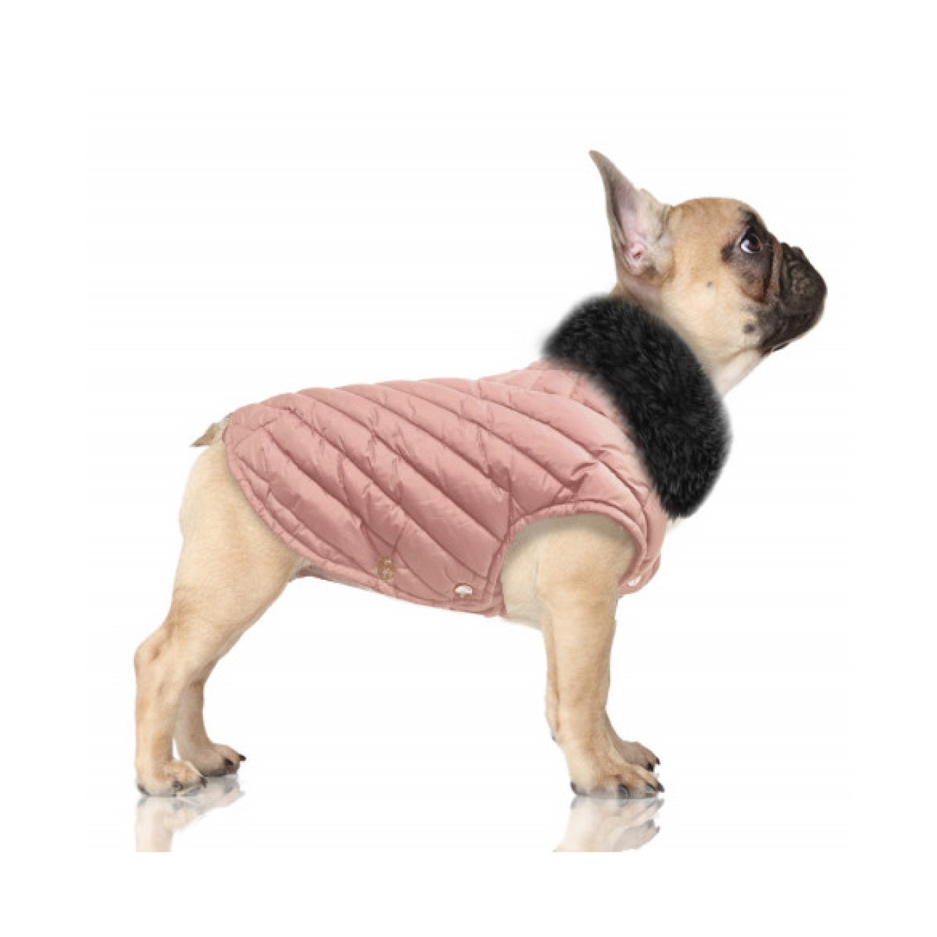 Milk & Pepper wasserabweisende Hundejacke ALOIS rosé auch für Mops & Bully
