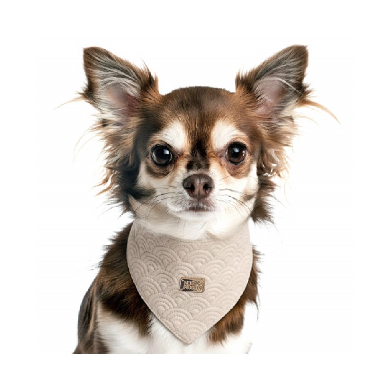 Bandana für Hunde KIMI taupe