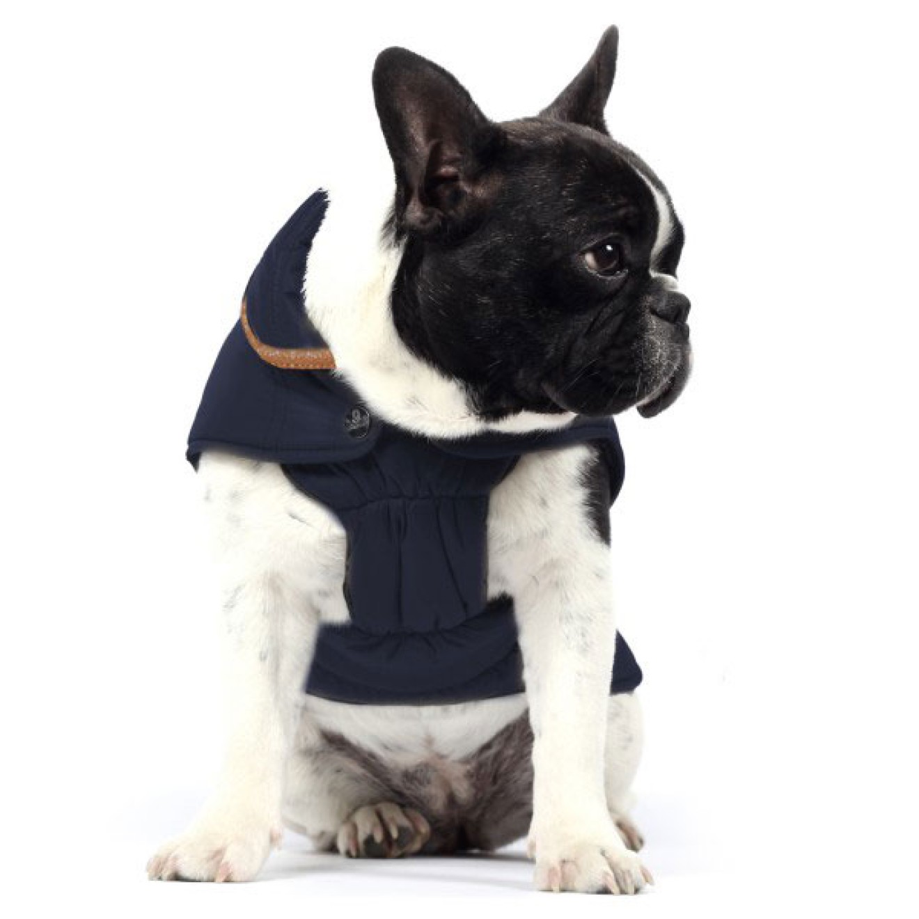 Milk & Pepper wasserabweisender Hundemantel Campus Navy