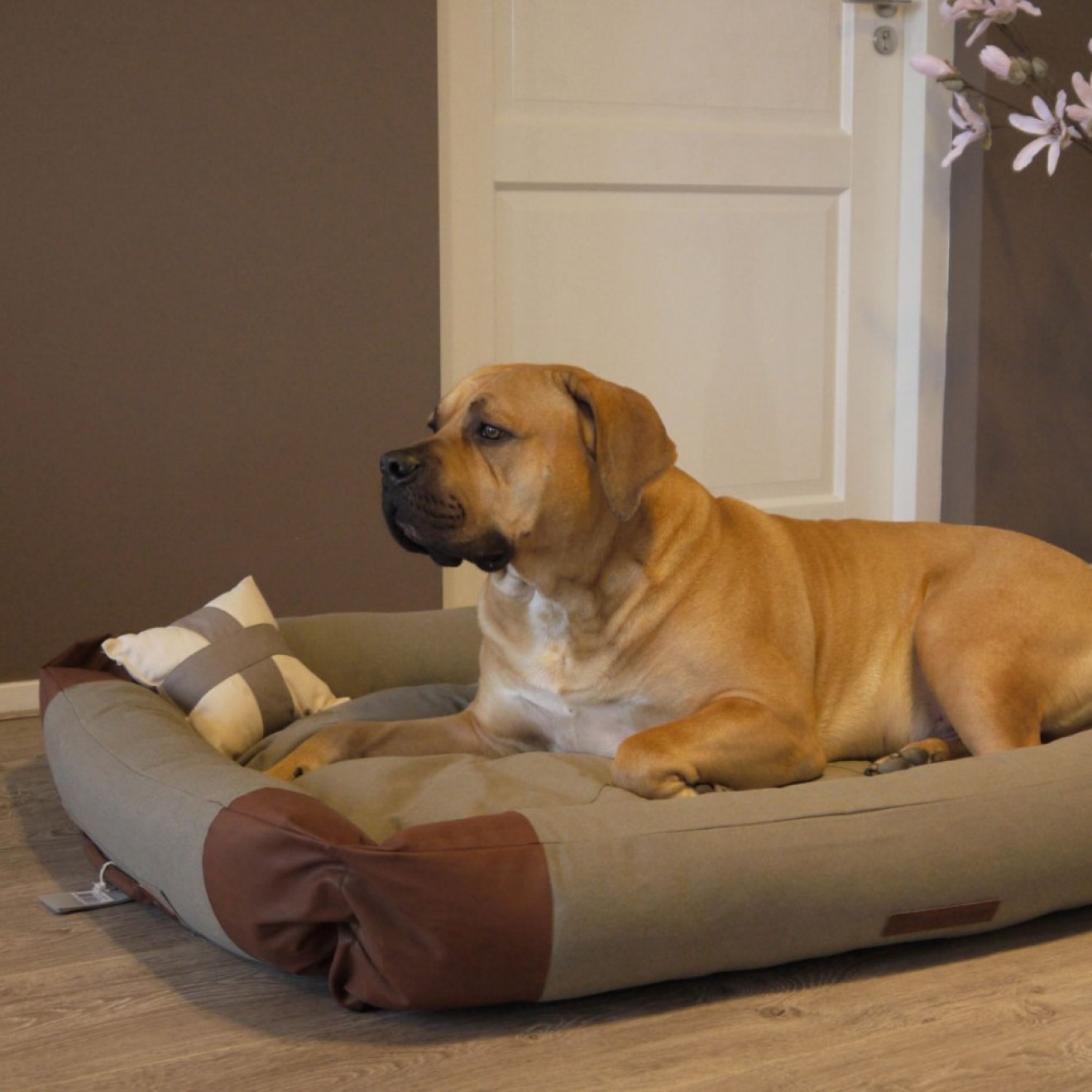 Canvas-Hundebett Cornwall Gr. M 75 cm