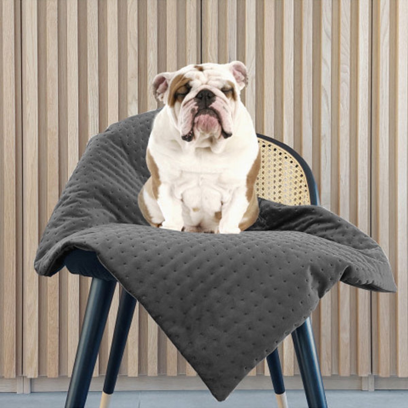 Milk & Pepper Hundedecke OPERA grey