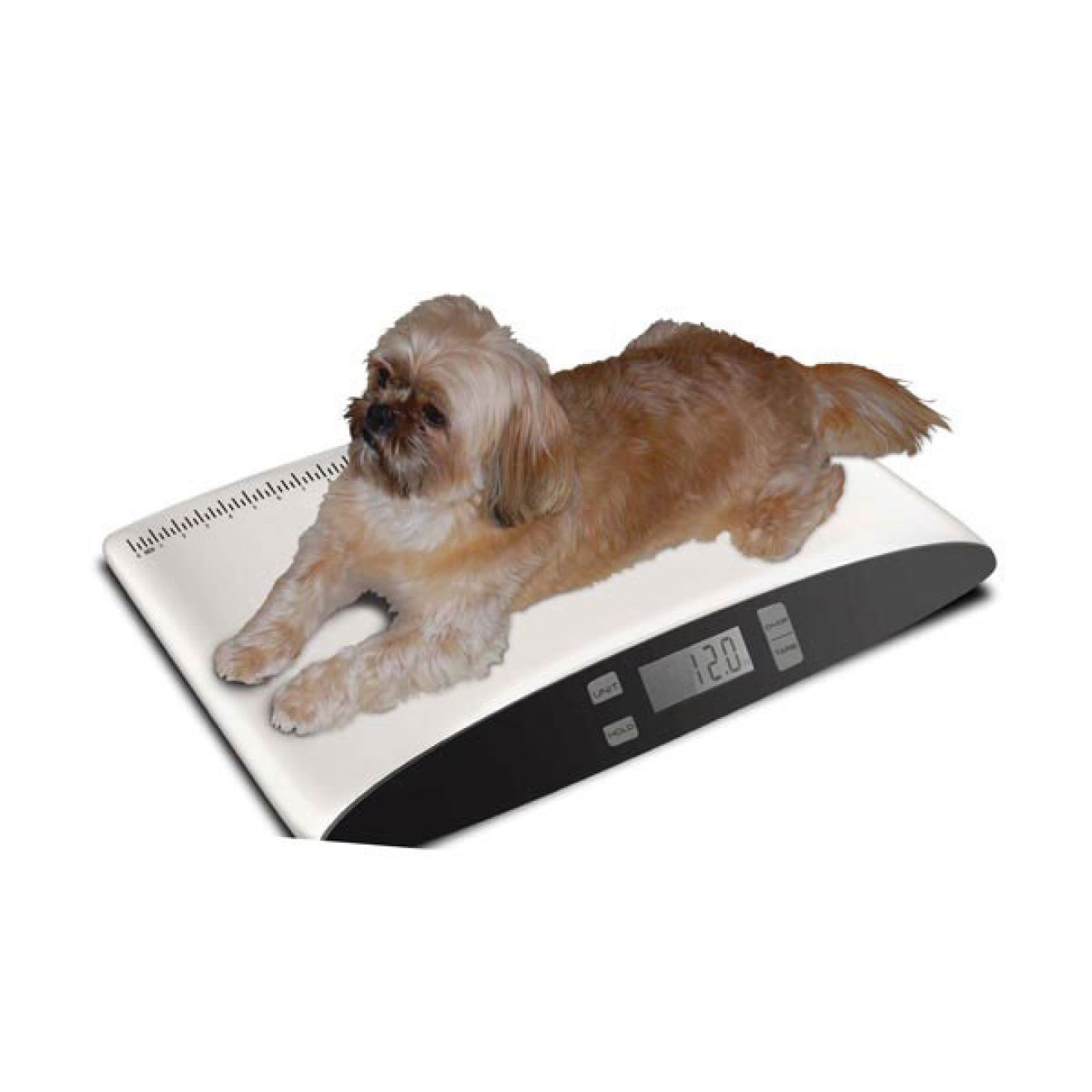 JJsdwin Digitale Hundewaage 100kg - LCD Display Für Große Hunde