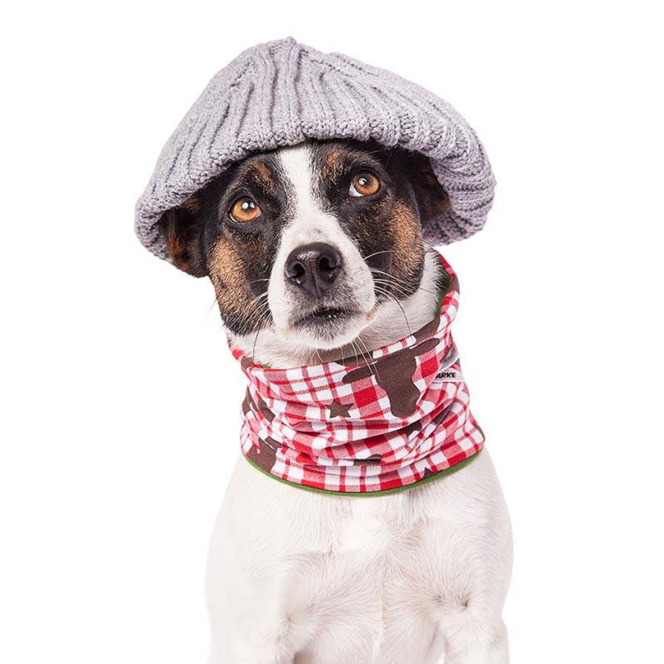 Doggyloop EDDY ELCH Gr. S, XL, XXL