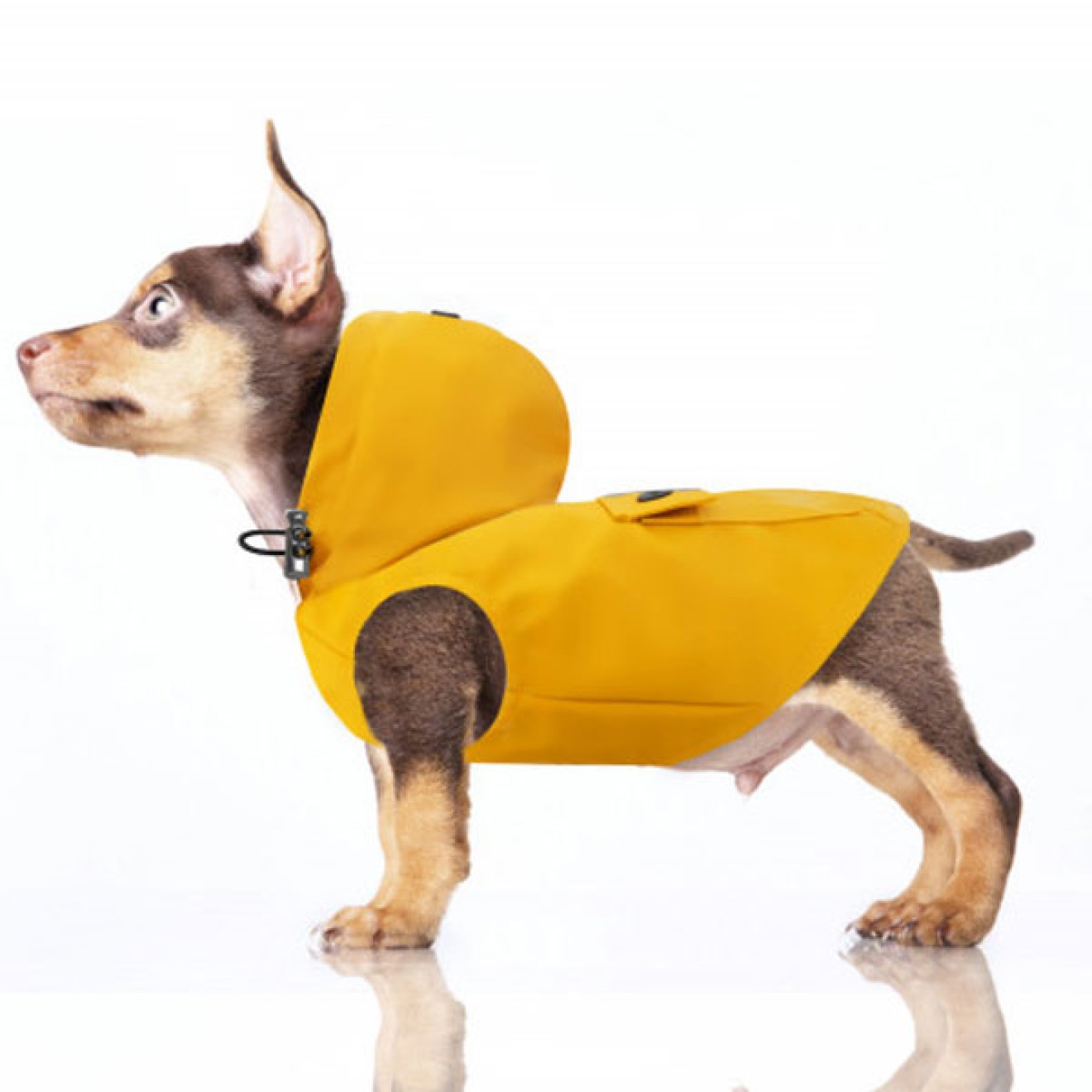 Gelber Friesennerz YACHTING Milk & Pepper