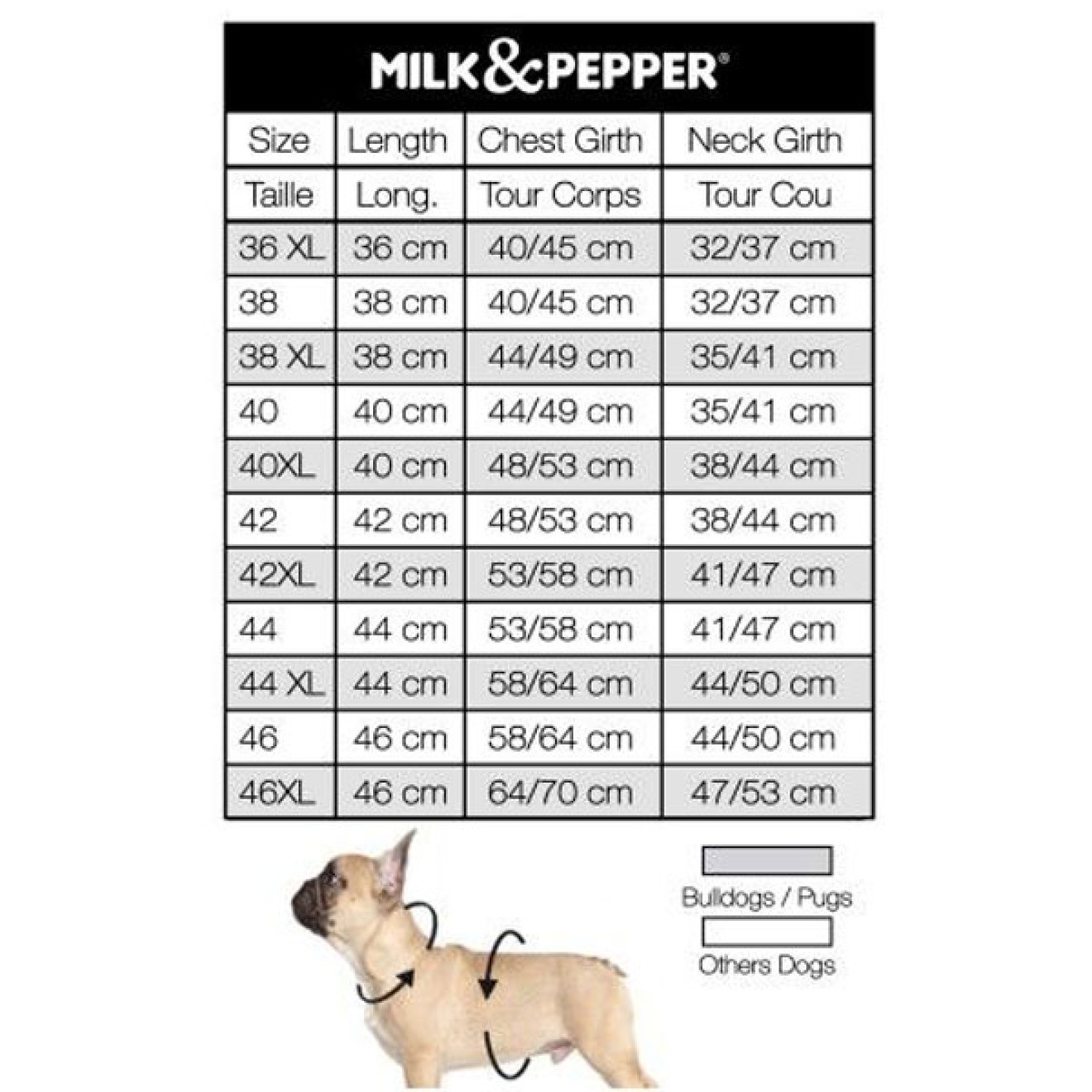 Milk & Pepper wasserabweisender Hundemantel Gazoline auch für Mops & Bully