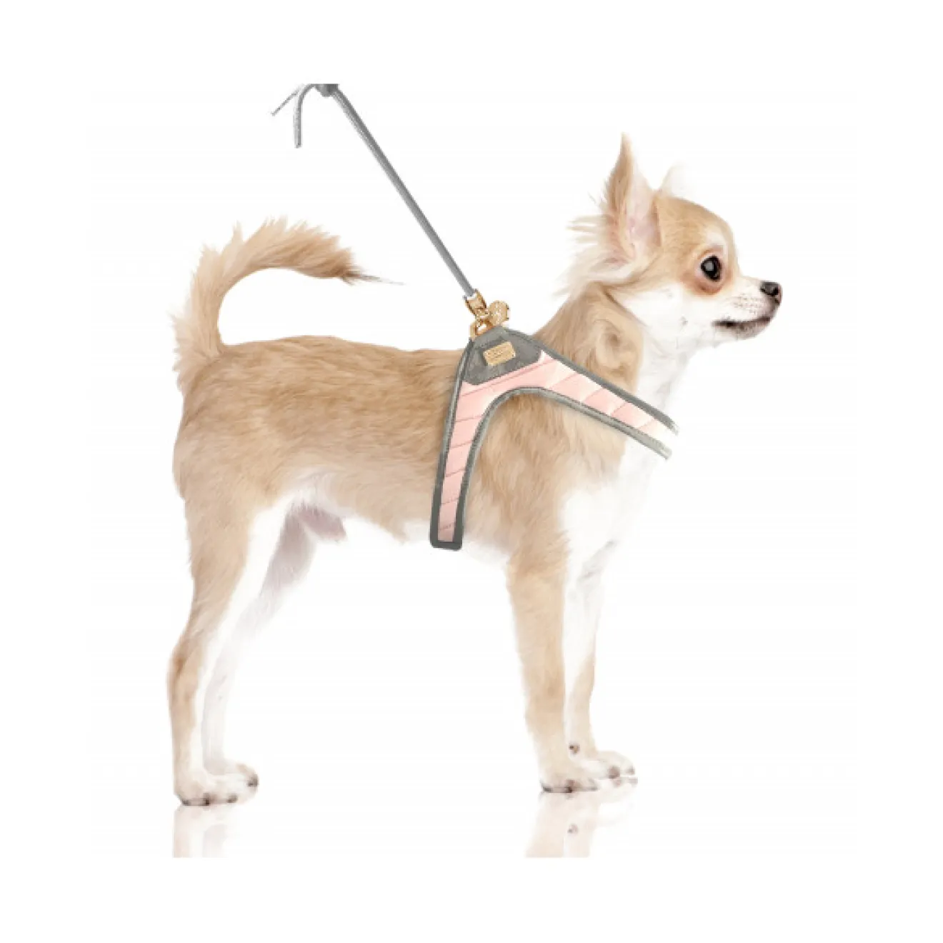 Step-In Hundegeschirr COLINE rose