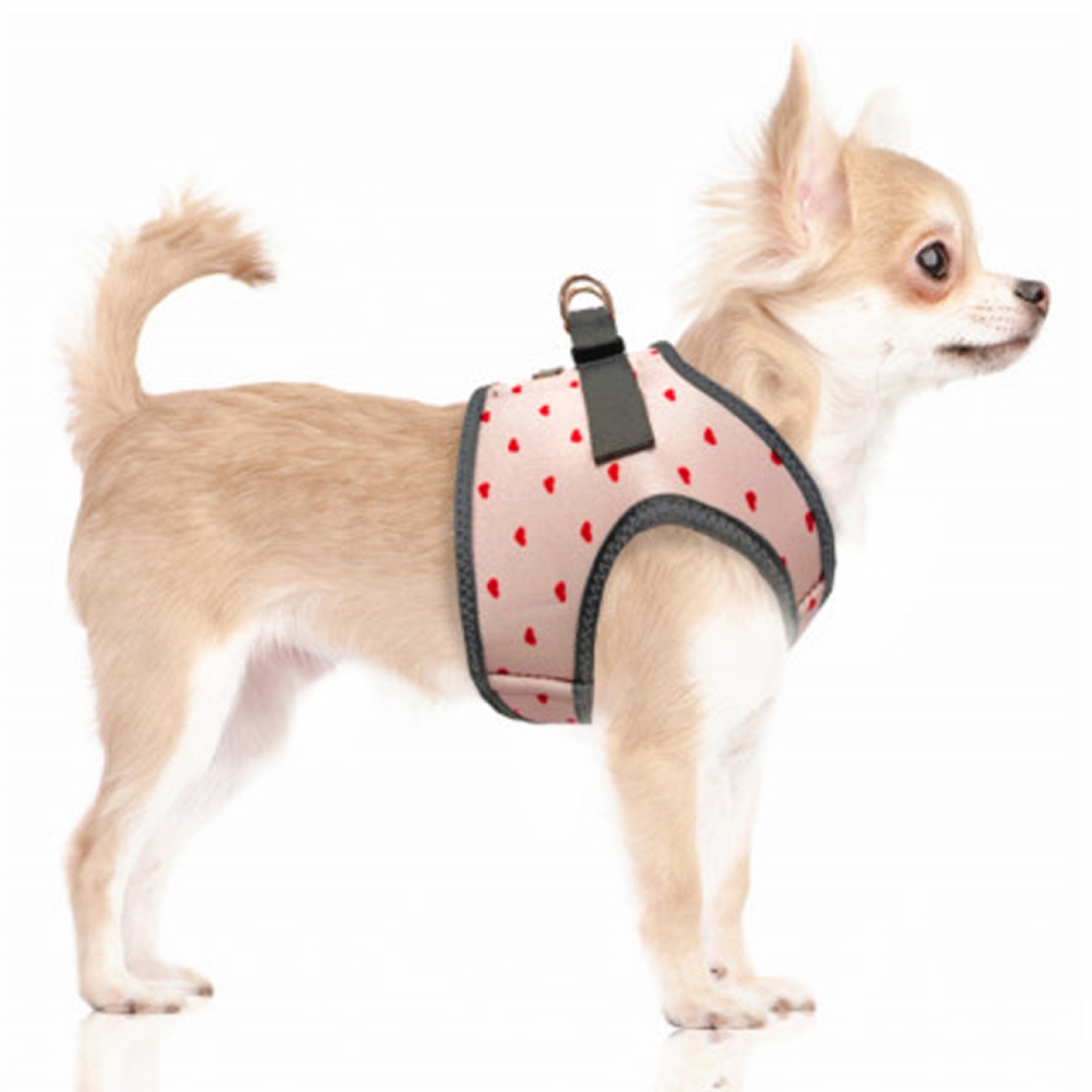 Milk & Pepper Hundegeschirr Suzanne mit roten Herzen