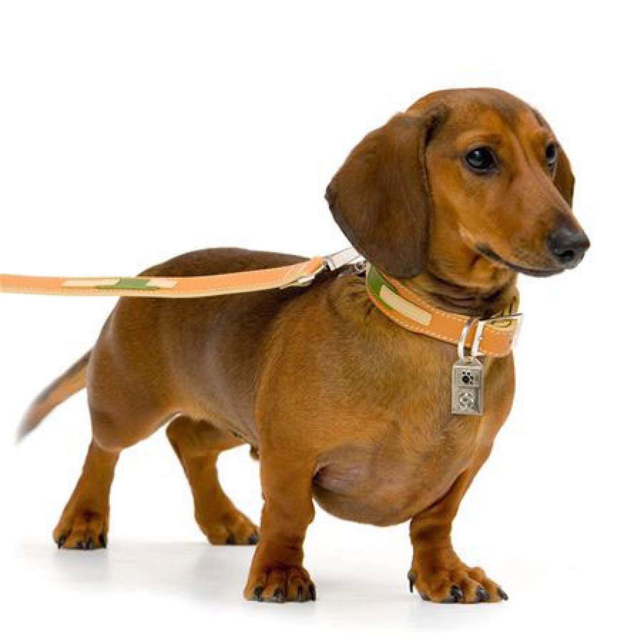 Gravurmarke I Paw silber