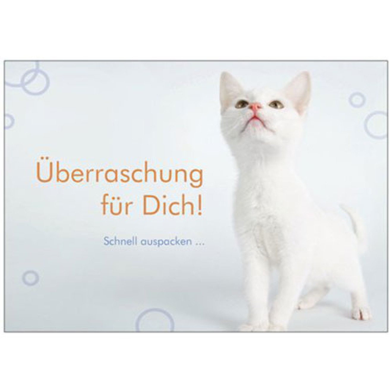 Katzen-Überraschungspaket einmalig & im Abo