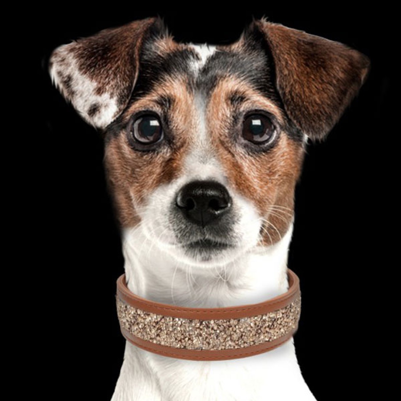 Milk & Pepper Hundehalsband Quartz- Camel