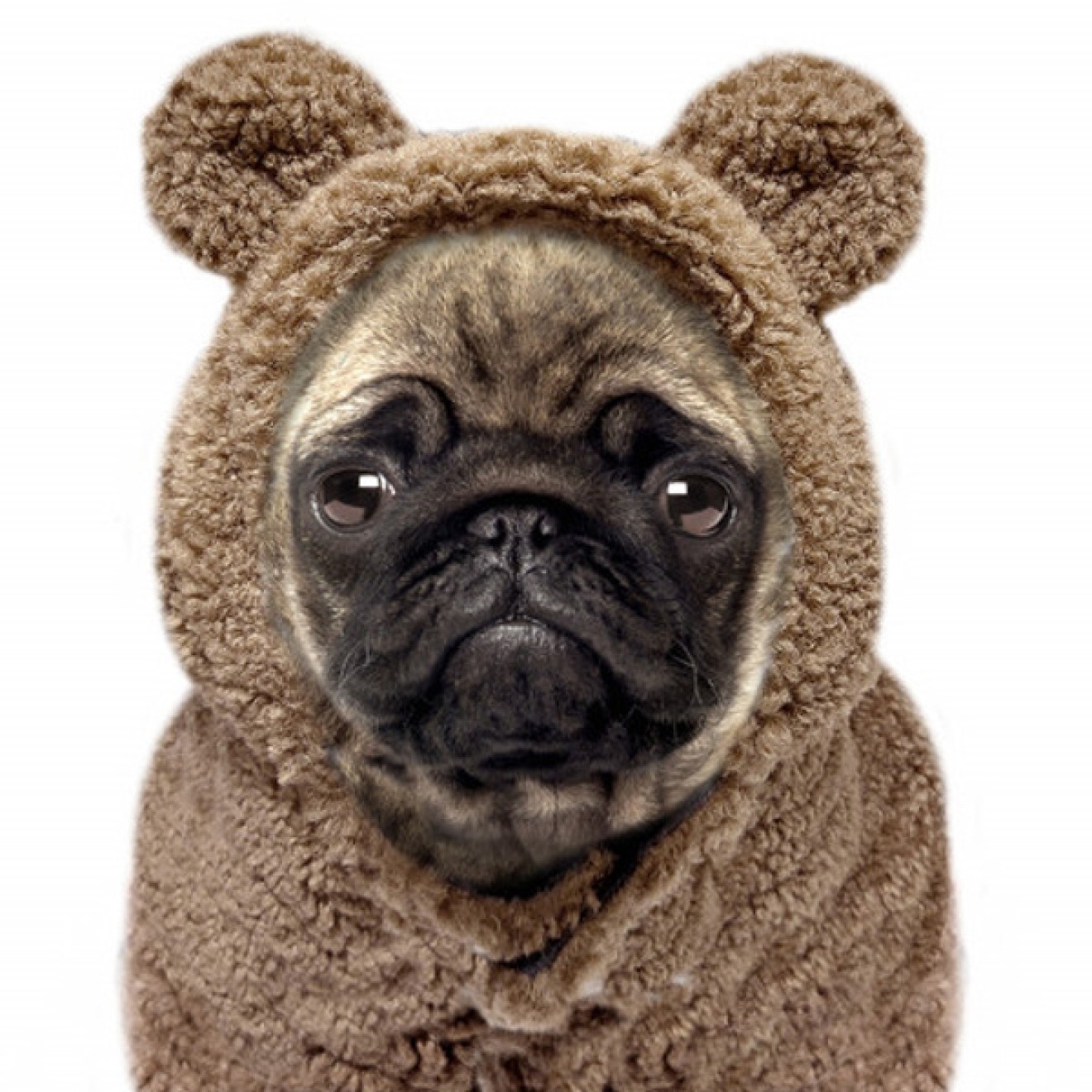 Milk & Pepper gefütterter Hundehoodie Ayden camel