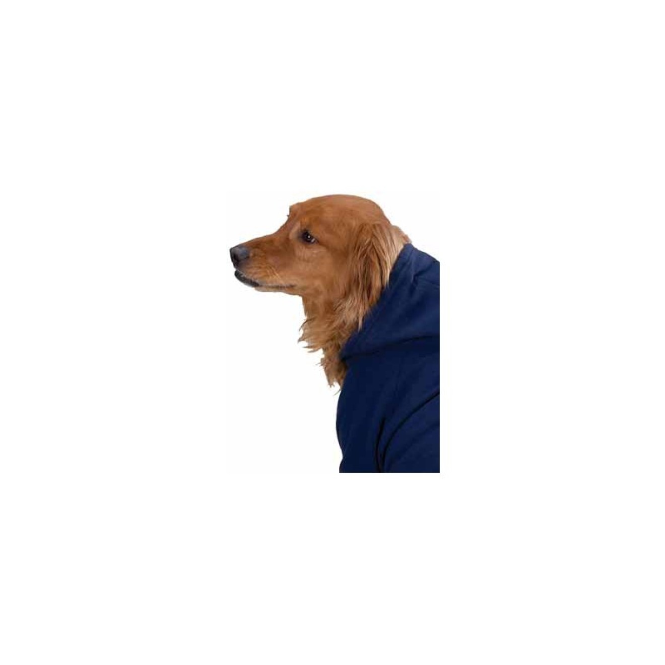 Kapuzensweater für Hunde navy, Größe XS - XXL