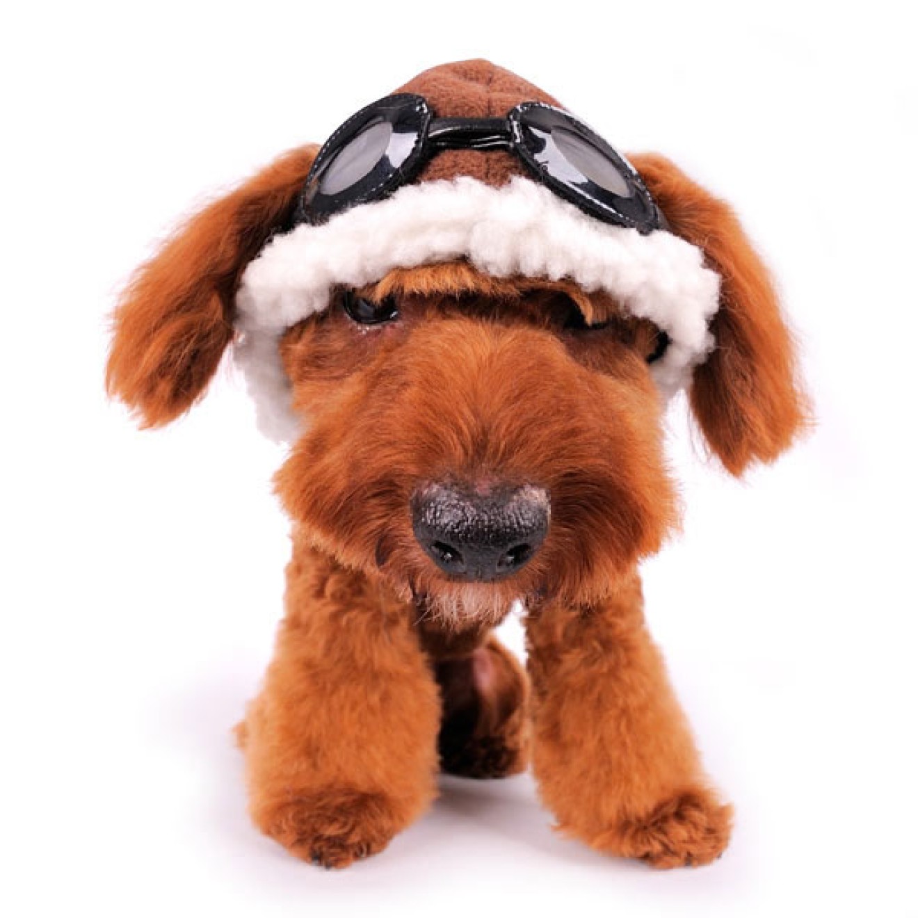 Hunde-Fliegermütze mit Brille Gr. XS
