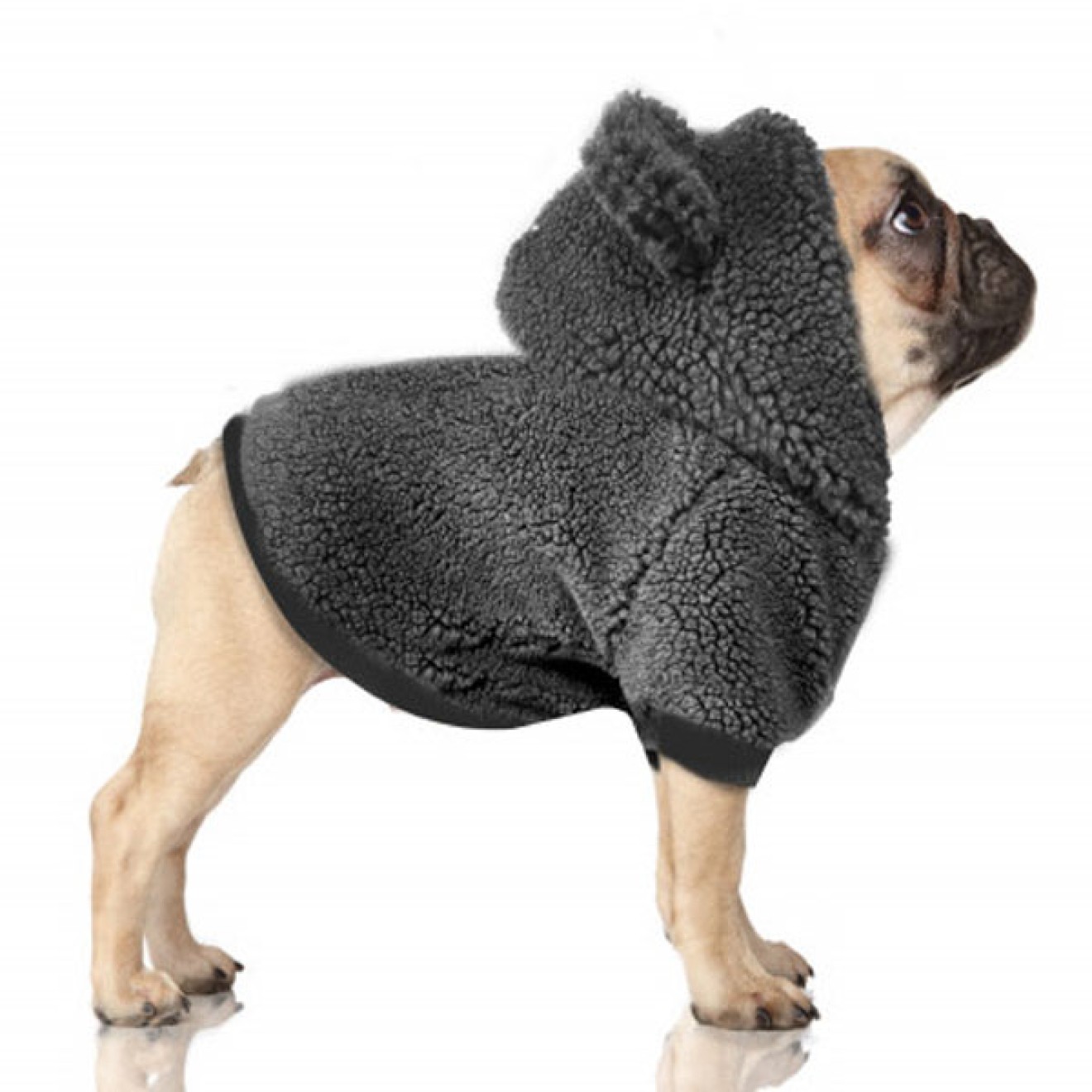 Milk & Pepper gefütterter Hundehoodie Elliot auch für Mops & Bully