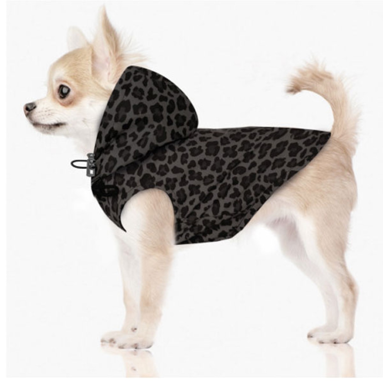 Milk & Pepper Hunderegenmantel SAVANA Leopard Black