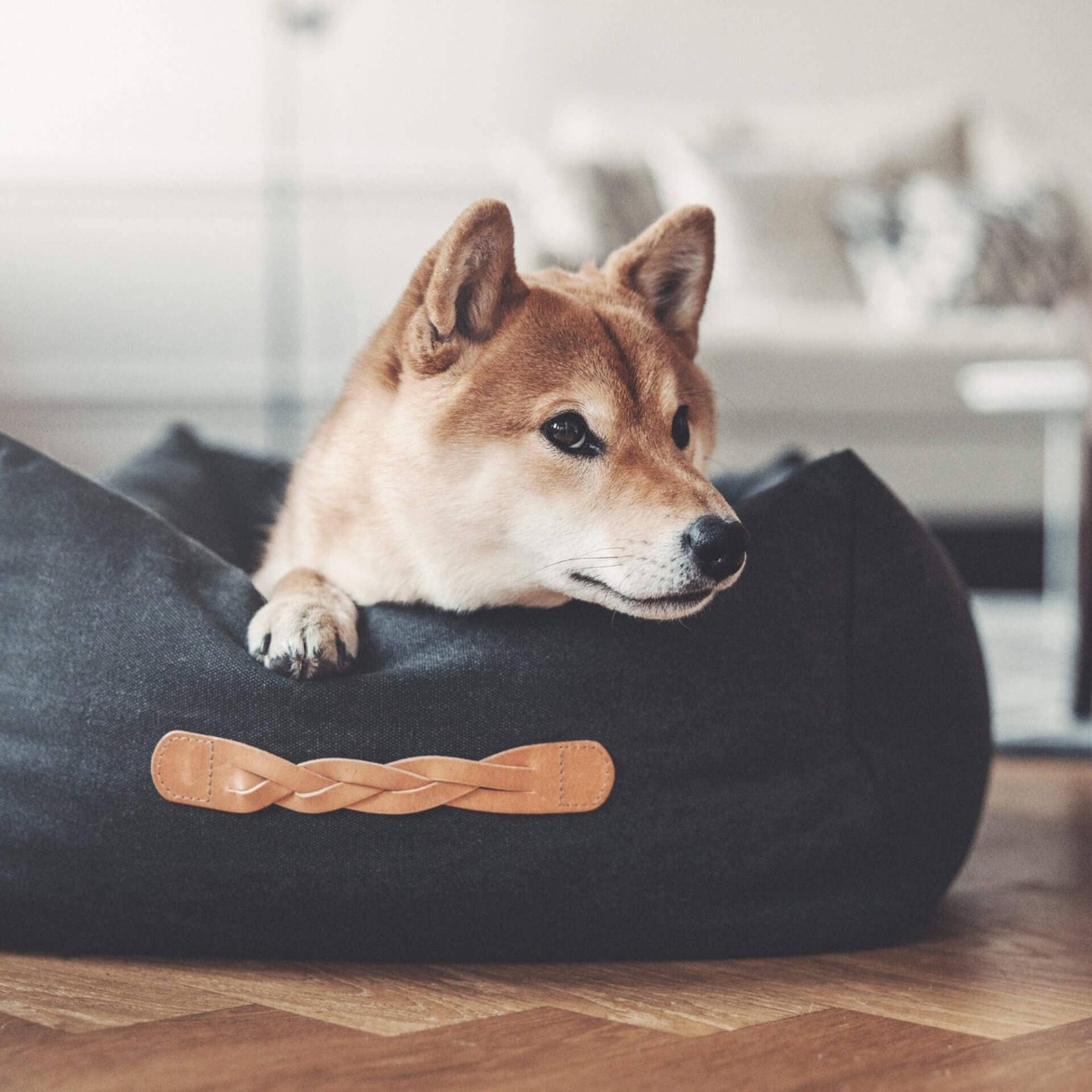 Hundebett Classic mit Leder-Details anthrazit