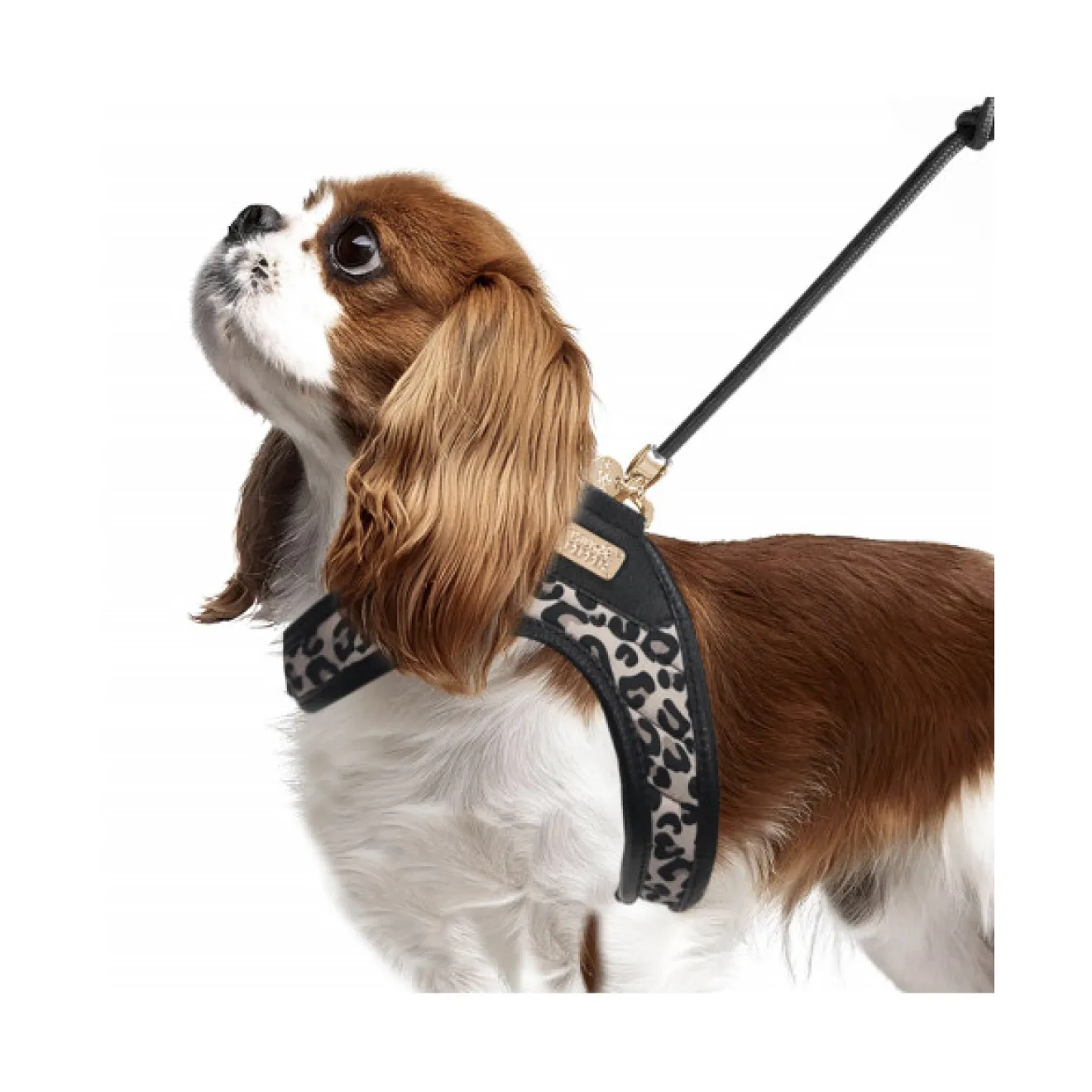 Step-In Hundegeschirr THALIA im Leo-Design