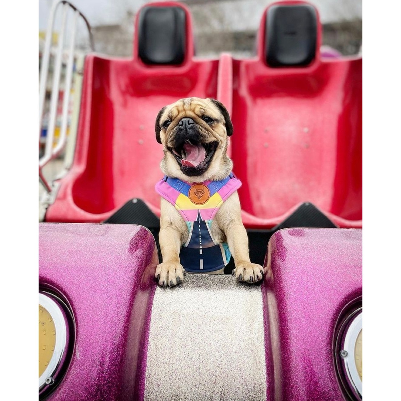 Atmungsaktives Hundegeschirr California