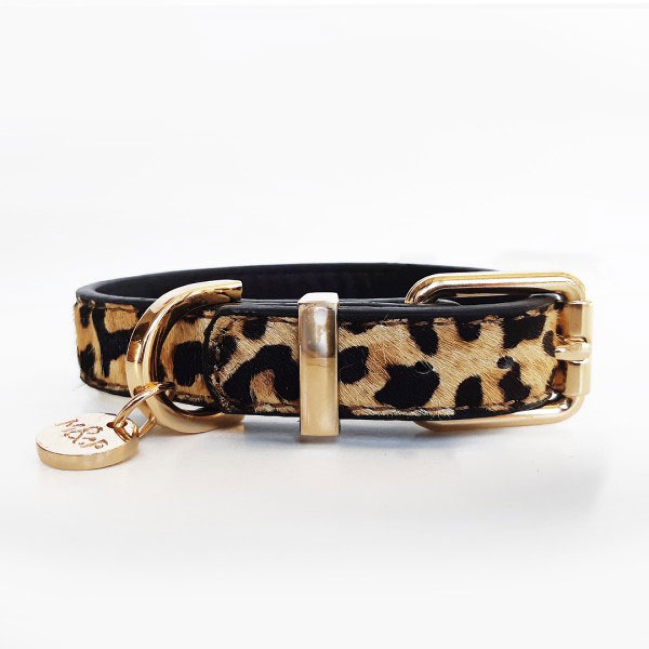 Milk & Pepper Hundehalsband Leoparden-Design
