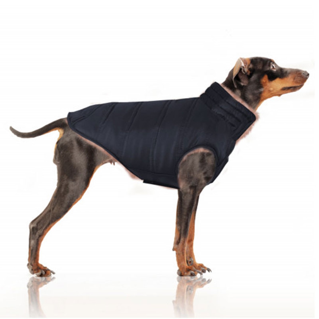 Milk & Pepper Wende-Hundejacke Nikita rose für kleine Hunde