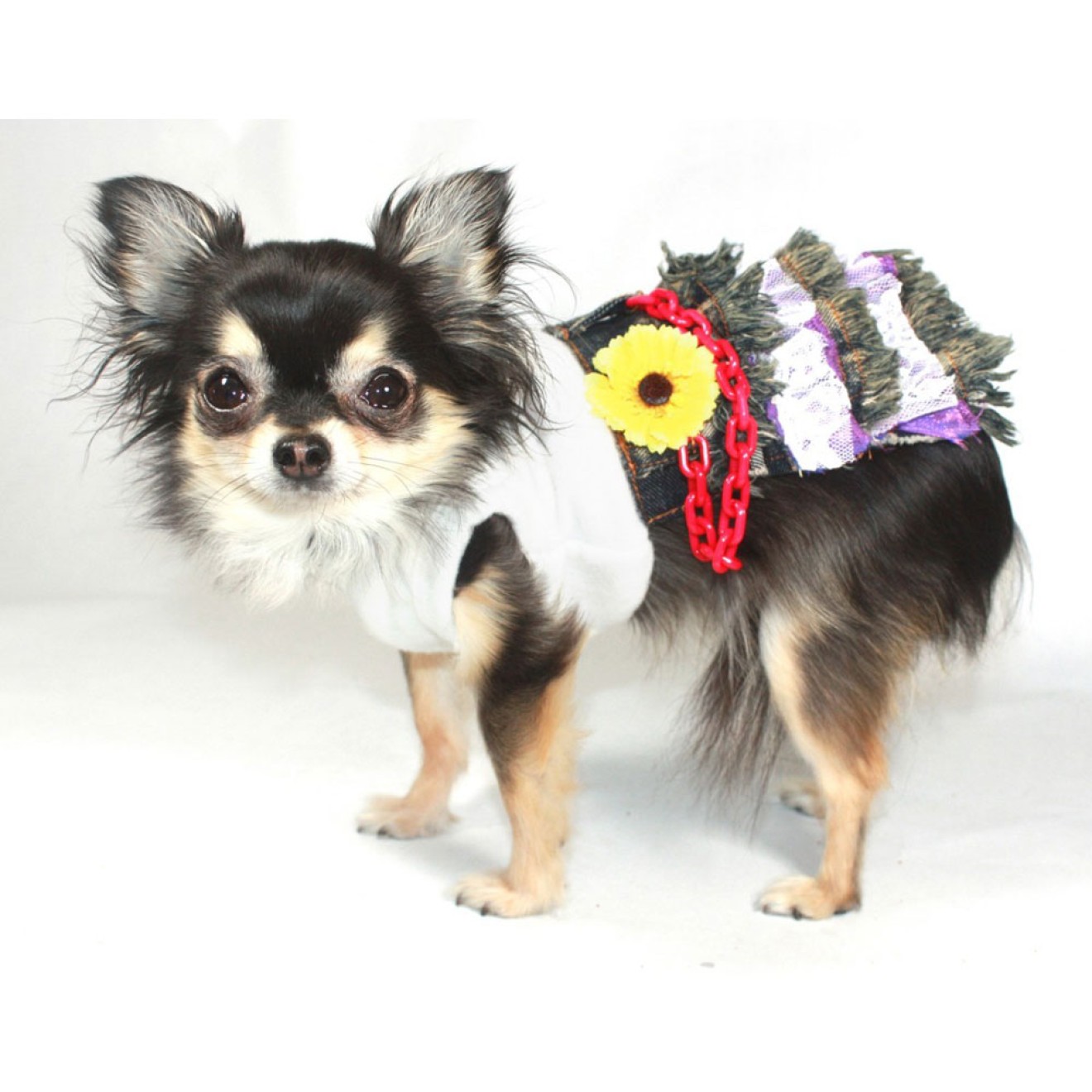 Jeans-Hundekleid Daisy Denim für Chihuahua & Co.