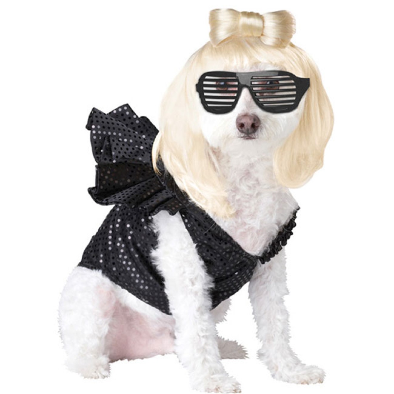 Hundekostüm Lady G. Grösse XS - L