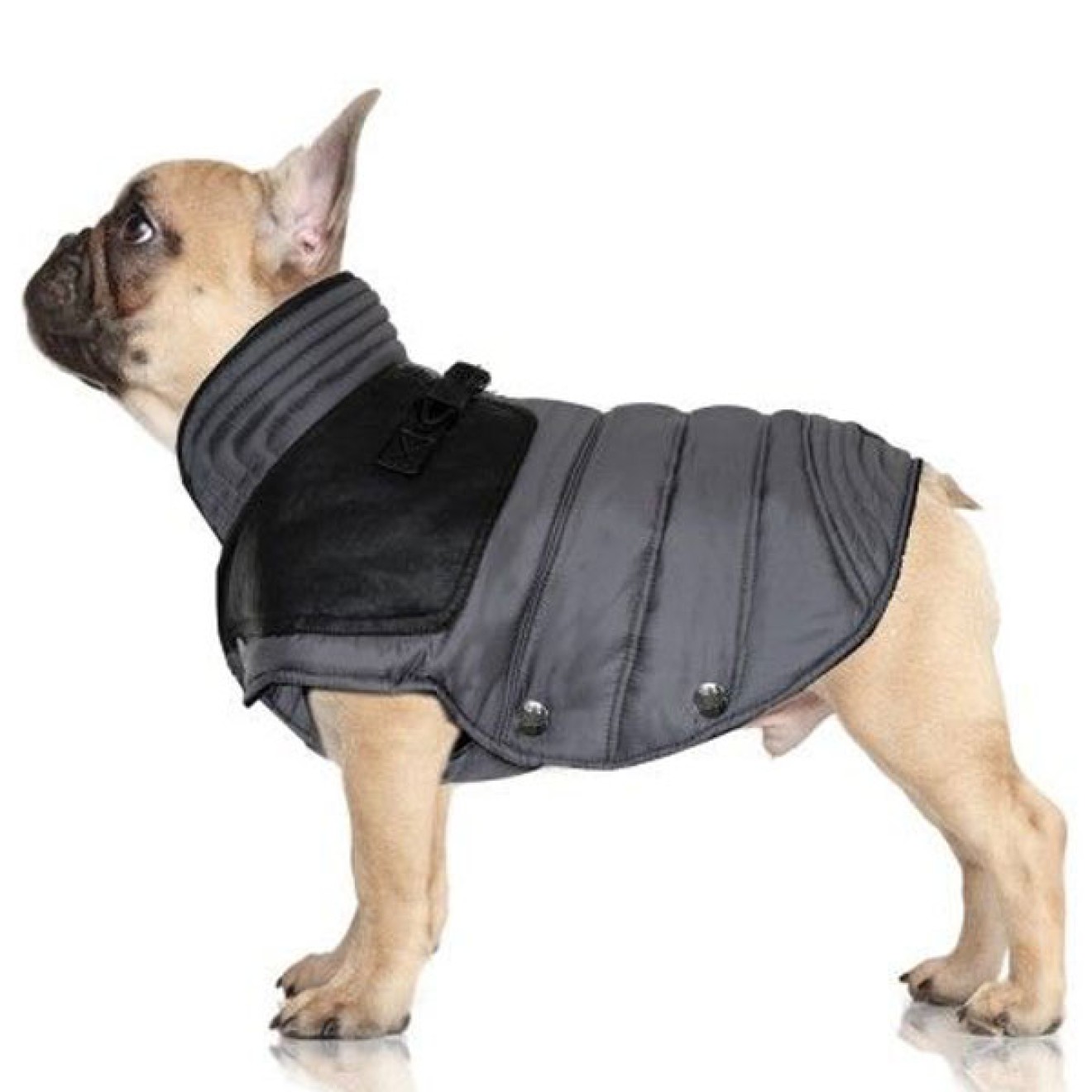 Wasserabweisender Hundemantel Tempo grey Milk & Pepper Gr. 38XL