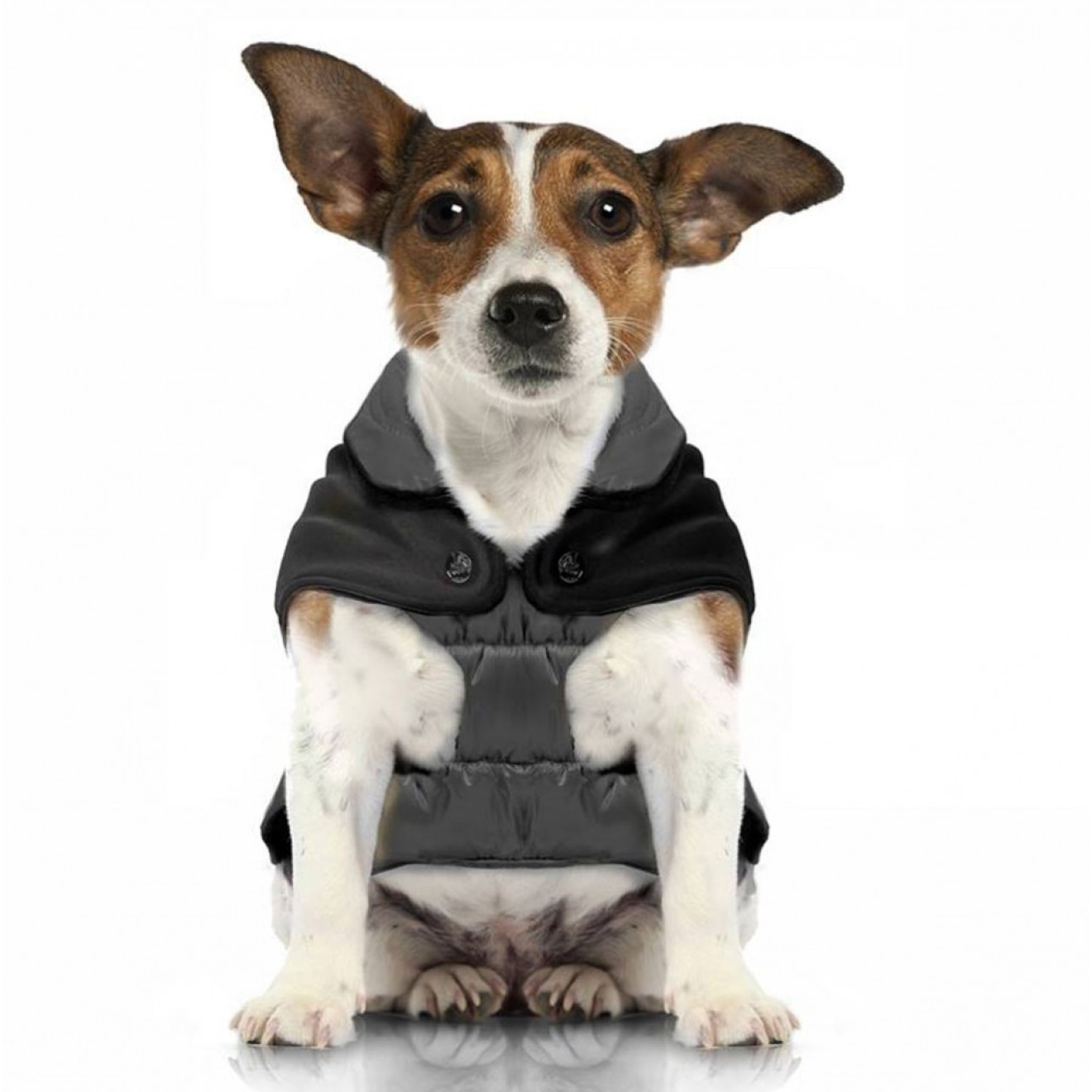 Wasserabweisender Hundemantel Chamonix Grey Milk & Pepper Gr. 34