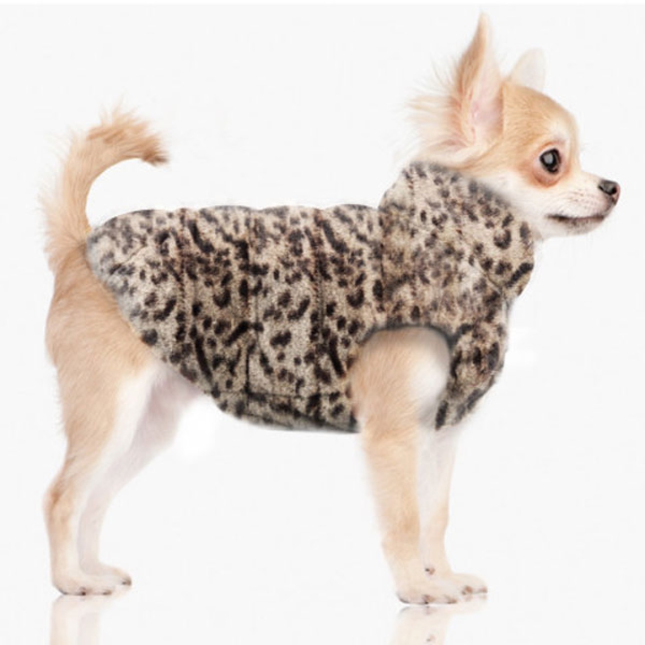 Milk & Pepper Wende-Hundemantel Imany mit Leo-Plüsch