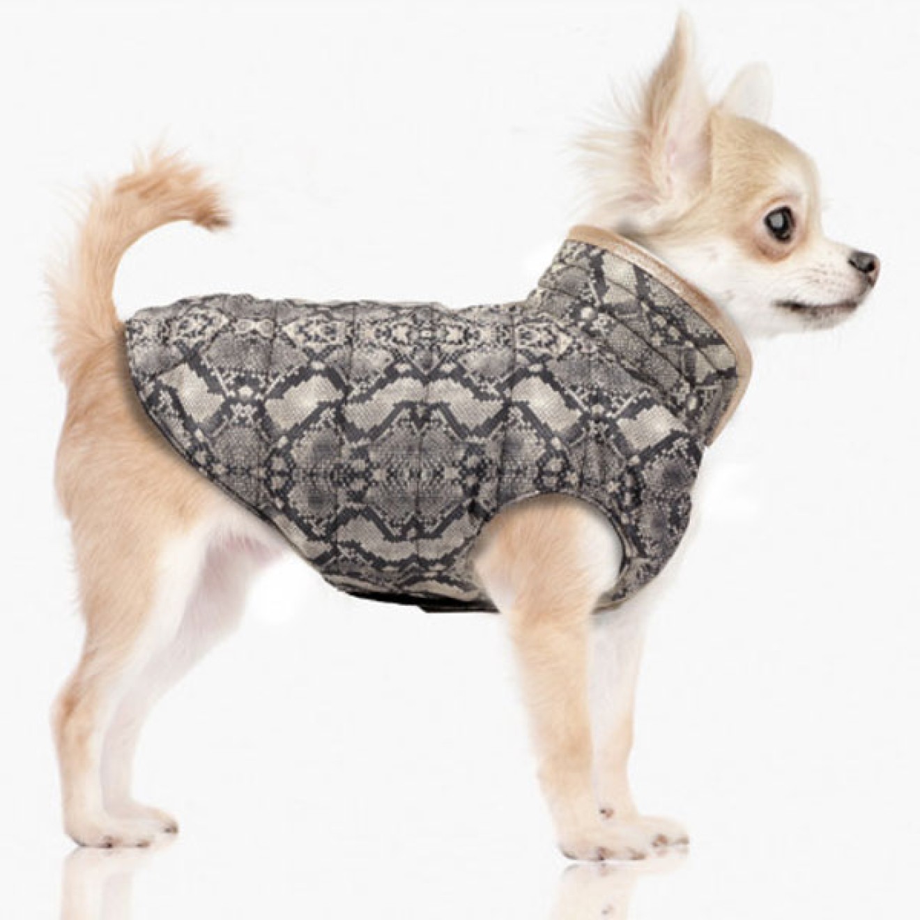 Milk & Pepper Hundemantel Taipan zum Wenden