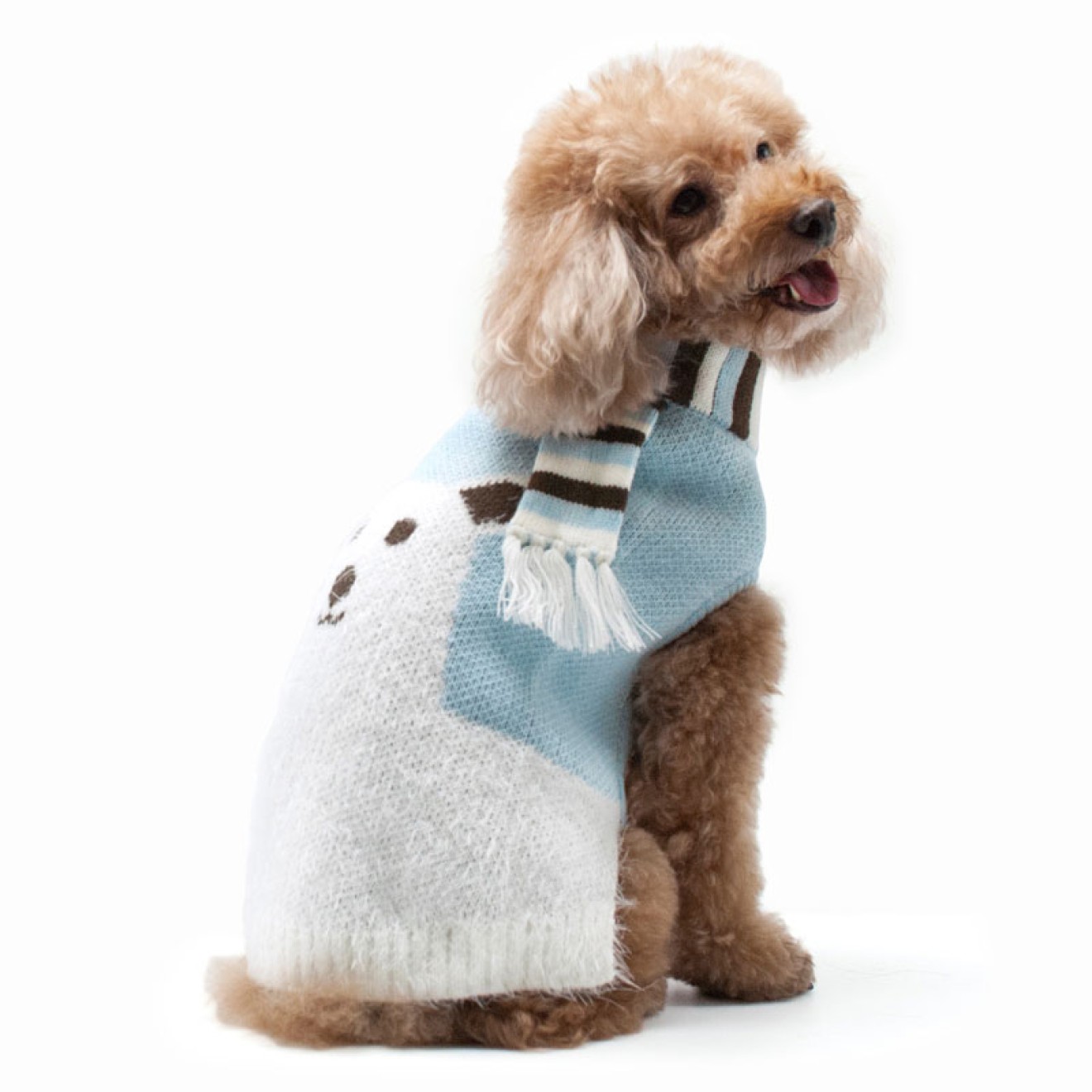 StrickHundepulli Eisbär Neue Kollektion NYC aus den USA online kaufen