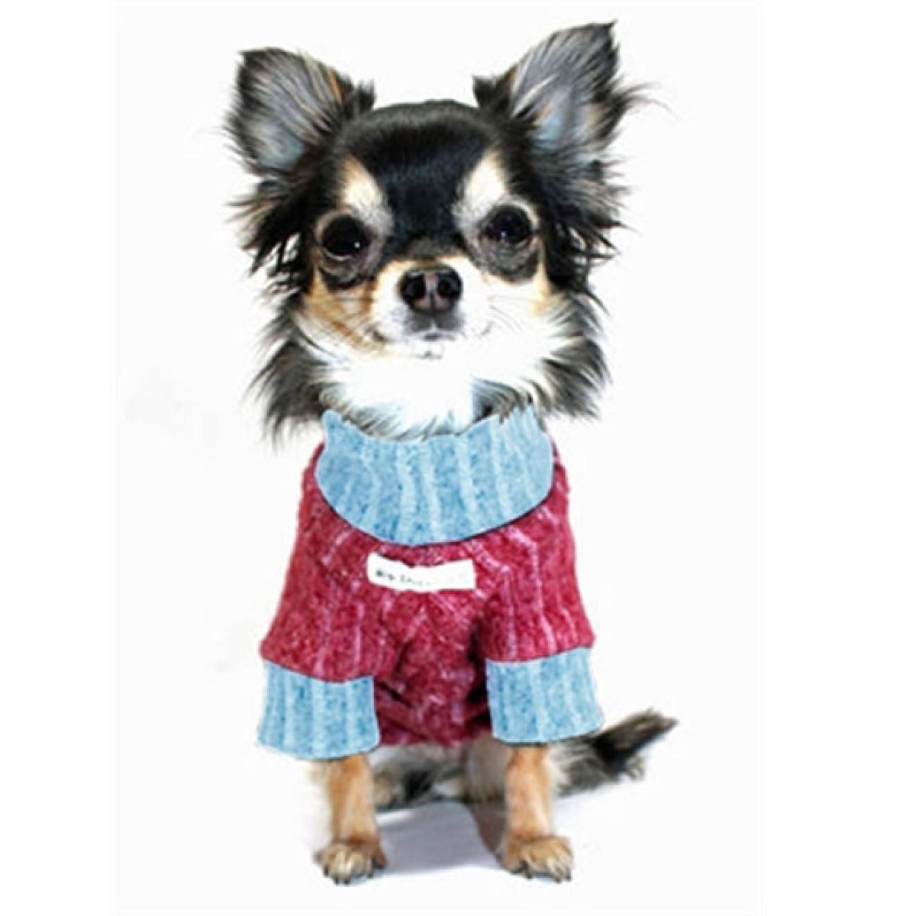 Rollkragen-Hundepulli STAR auch für Mops & Bully