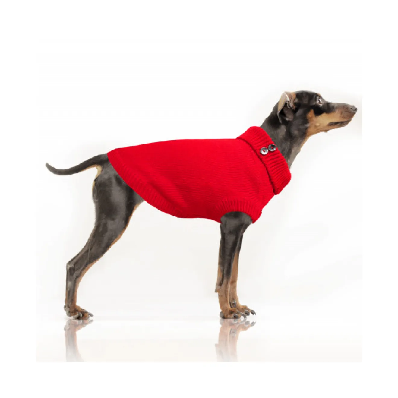 Milk & Pepper Hundepullover HELSINKI für Mops & Bully