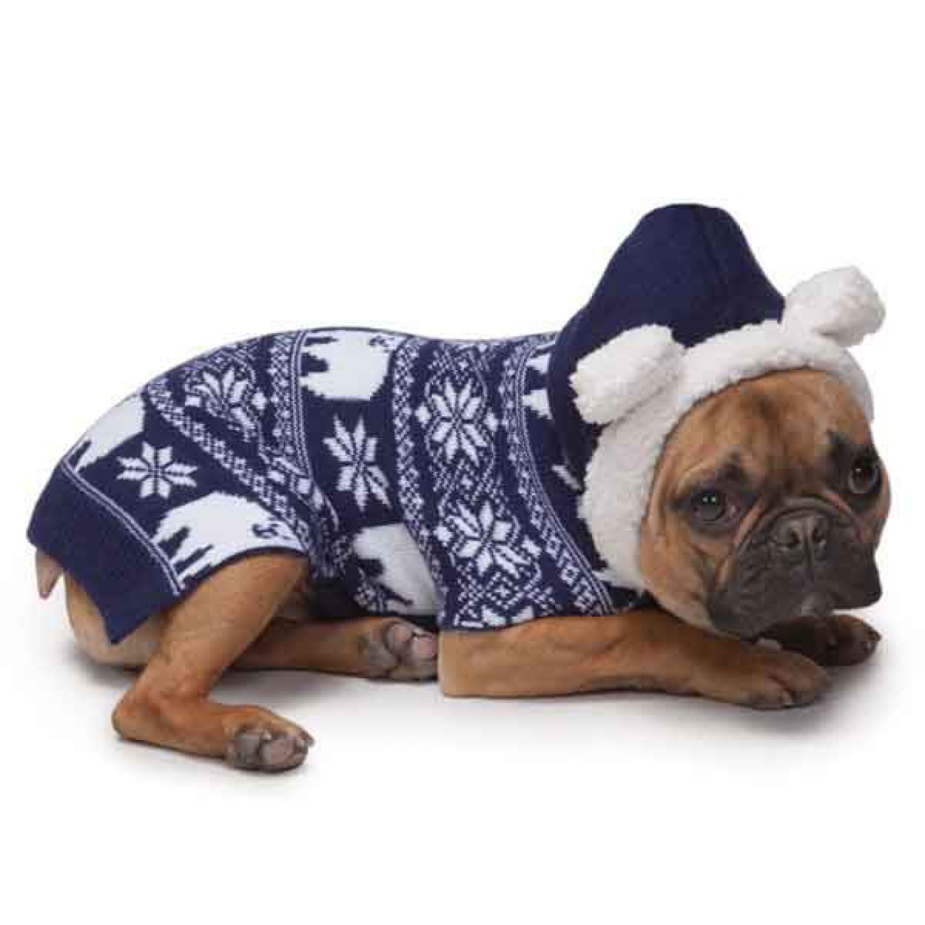 WinterHundepullover Polar für kleine bis mittelgroße Hunde online kaufen