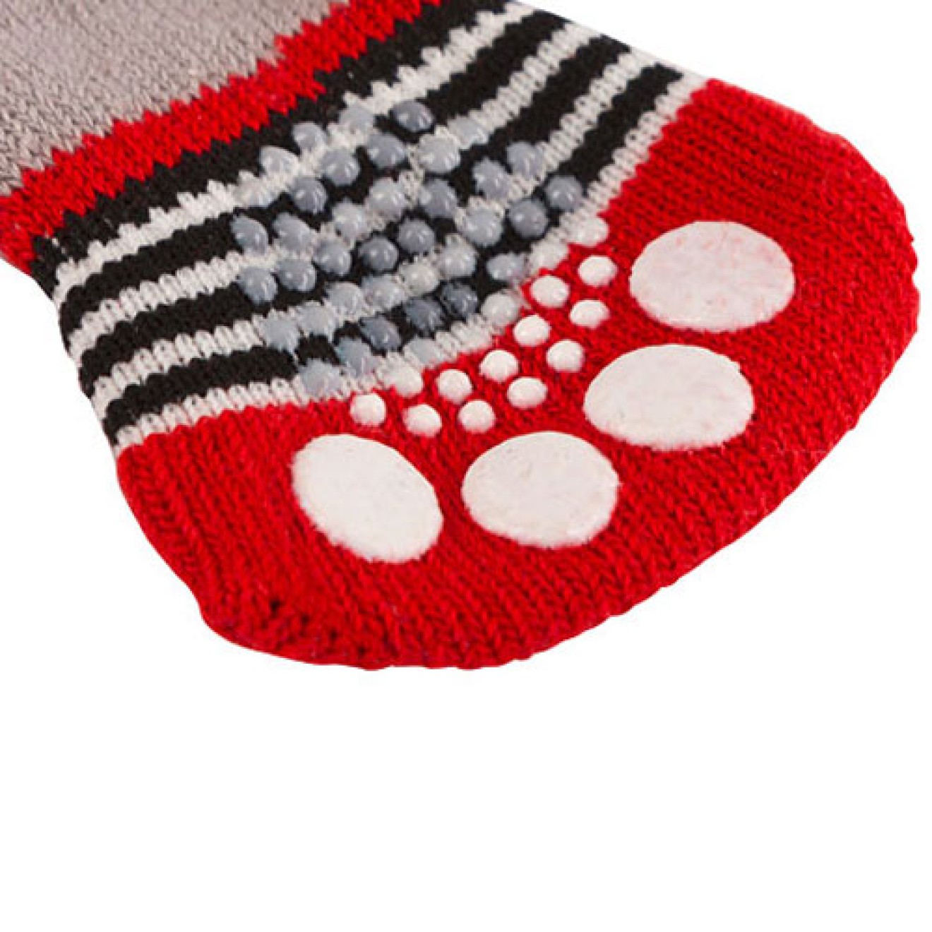 ABS-Hundesocken My Sweet Teddy, Gr. M