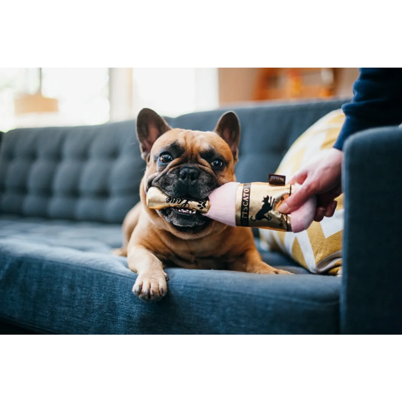 Hundespielzeug Barkling Bubbly Sektflasche