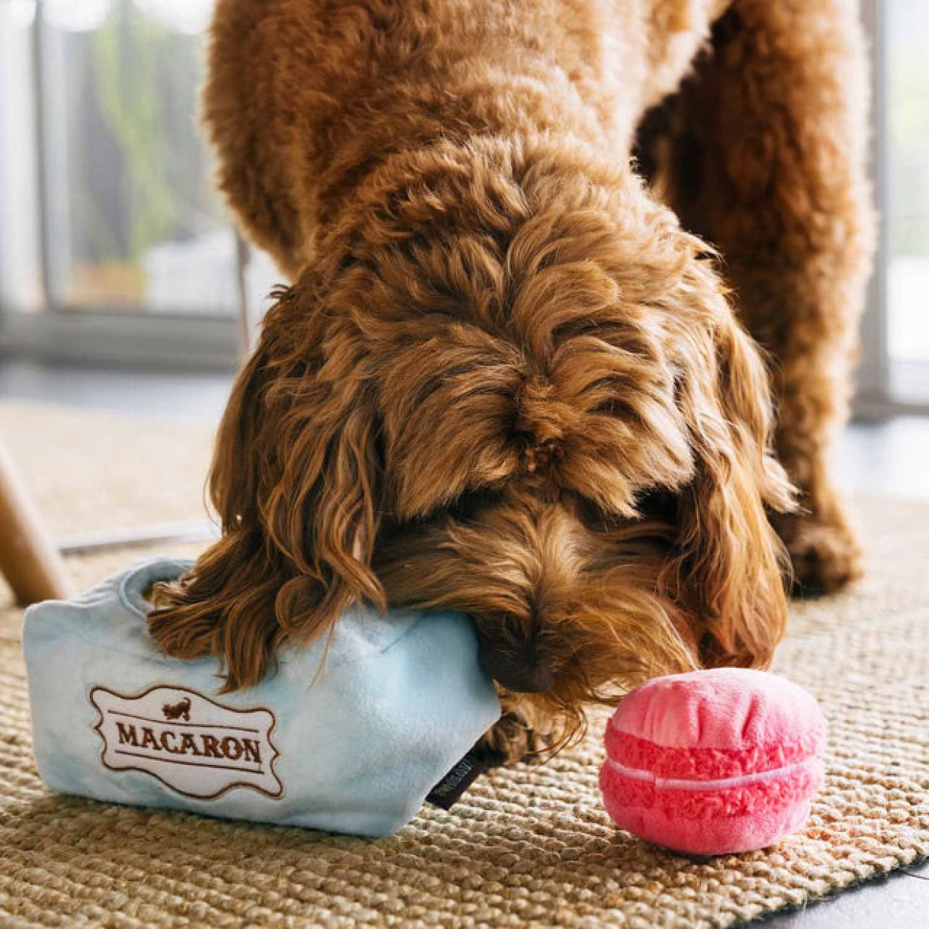 Interaktives Hundespielzeug MACARON