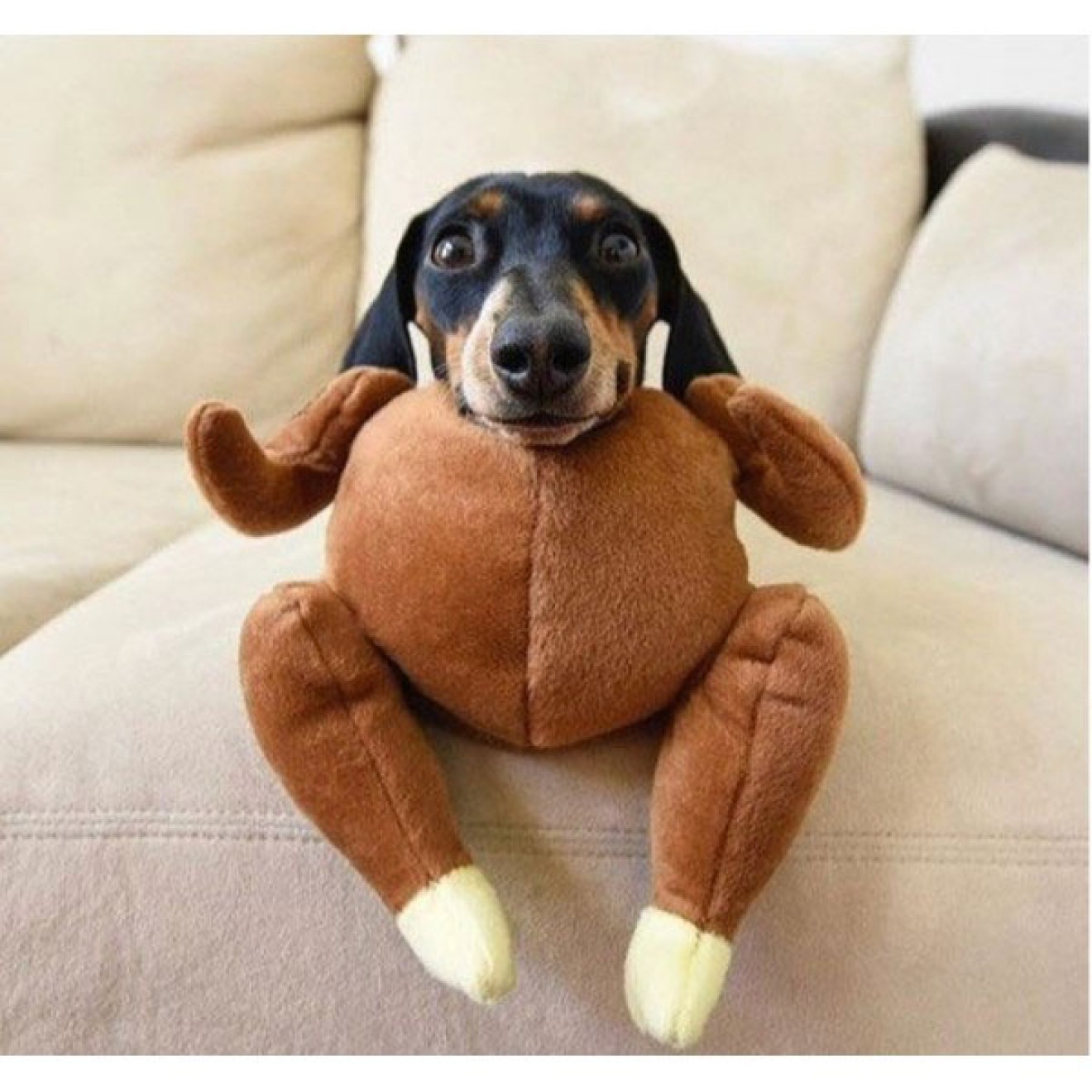 Hundespielzeug Turkey Extra-Strong