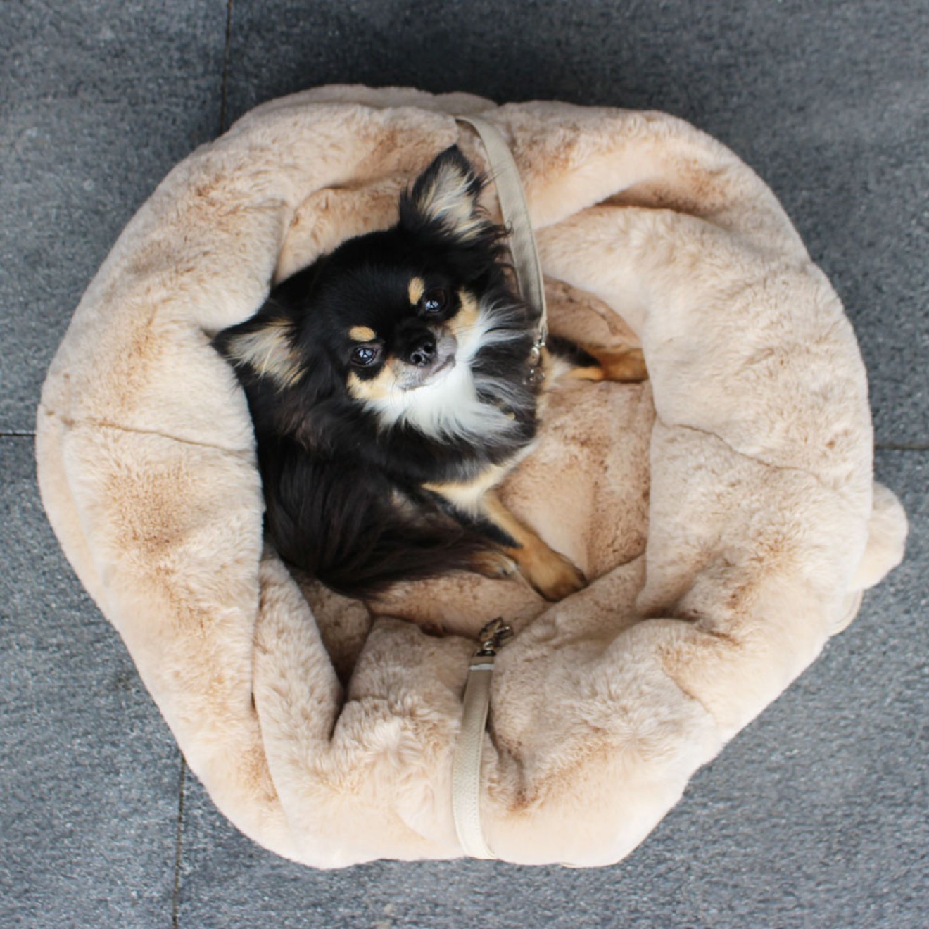 Fell-Hundetasche Luxury Dog creme 2 in 1 (Hundetasche & Hundebett)