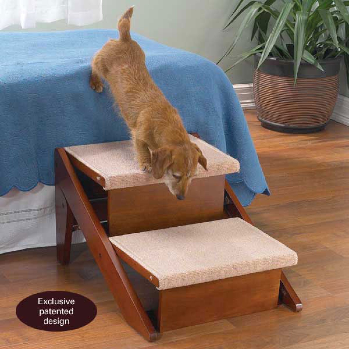 Kombi-Hundetreppe und Rampe aus Holz (2 Stufen) - ANGEBOT