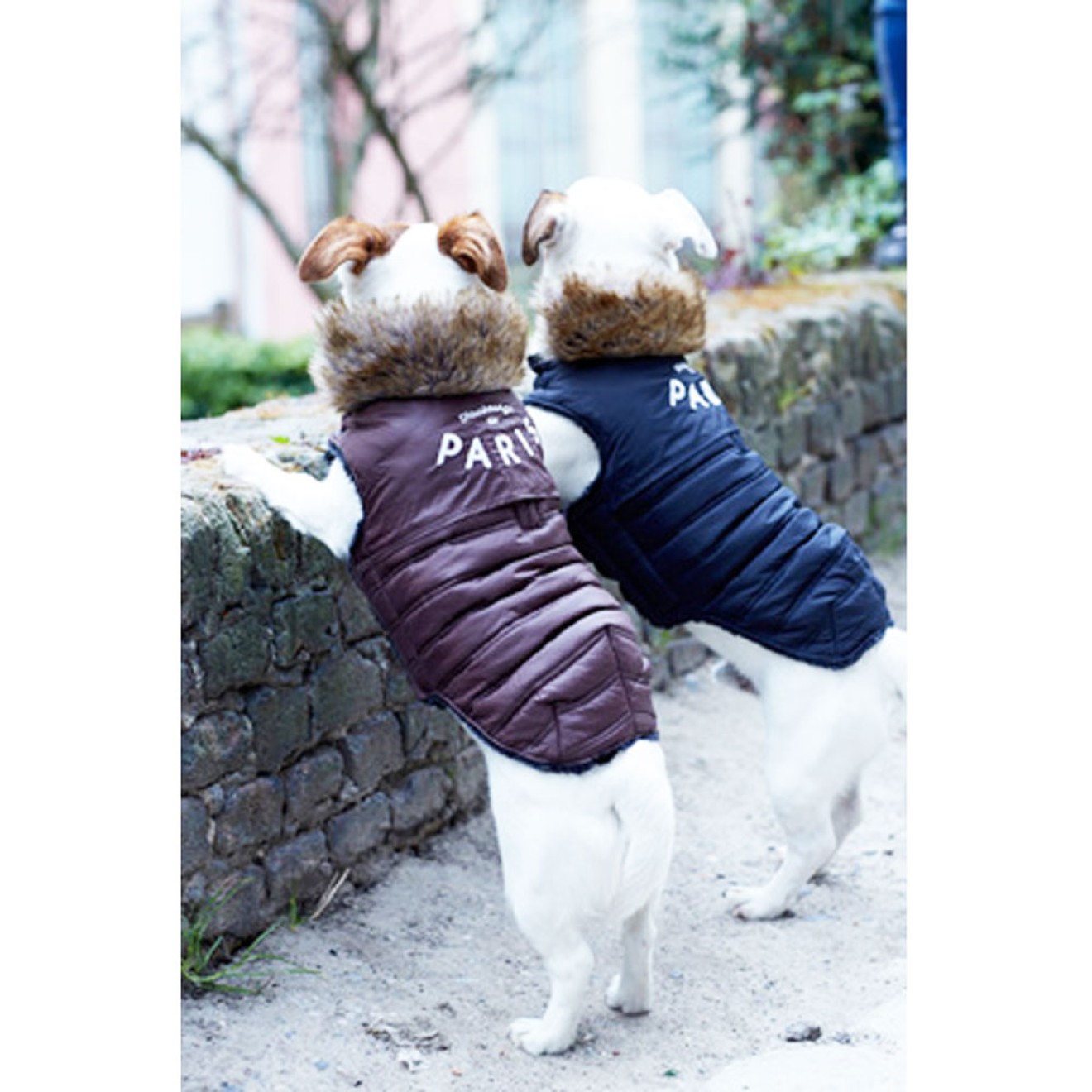 Hundeweste mit Fellkragen PARIS