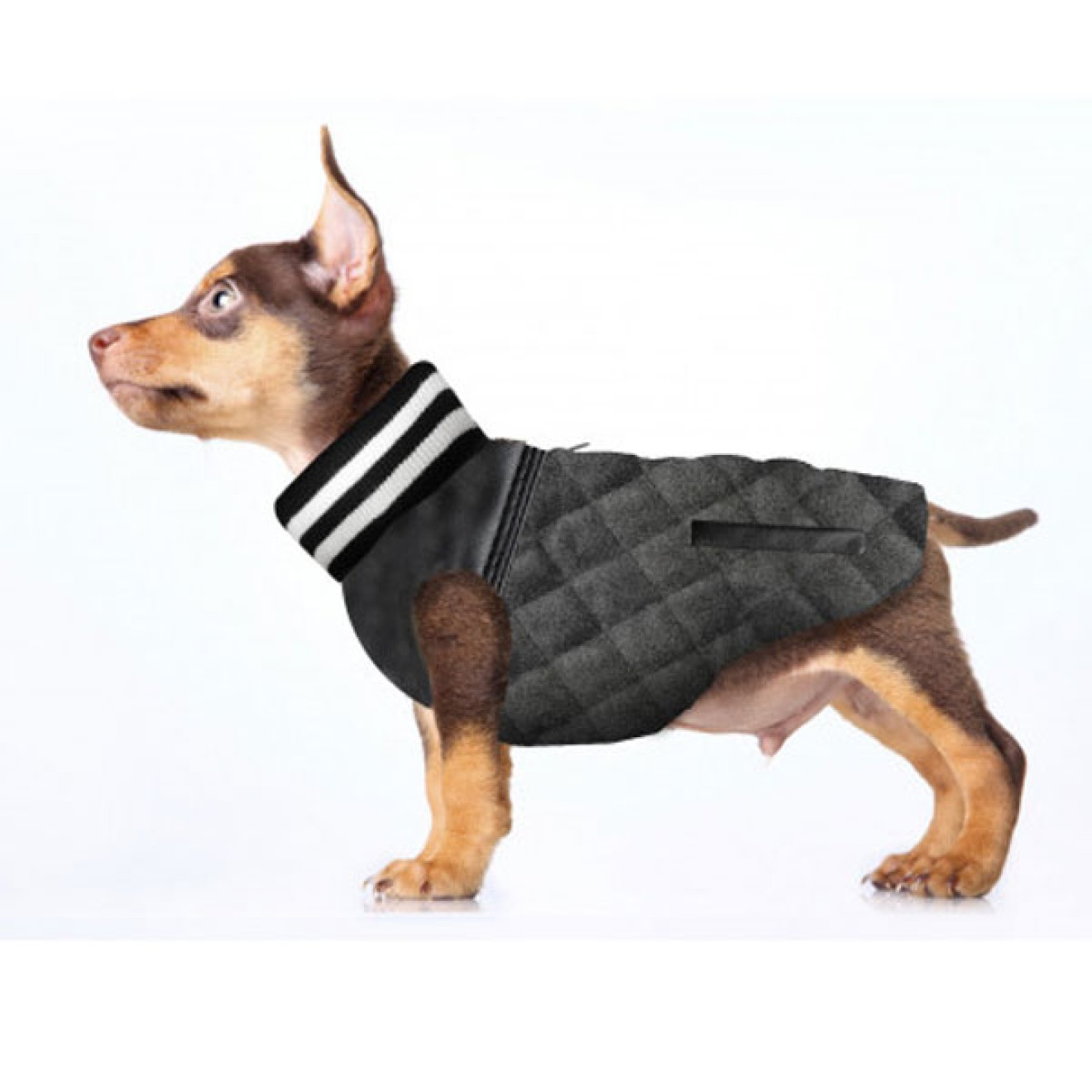 Milk & Pepper sportliche Hundeweste Teddy Gr. 30